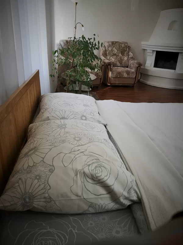 Vienas istabas apartamenti ar kamīnu